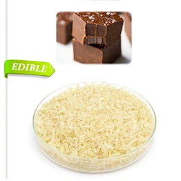 Halal grade edible gelatin hydrolyzed gelatin powder for softgel gummy